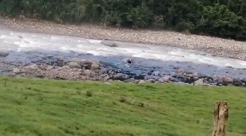 El atentado habría dejado afectaciones en un río de la vereda El Limoncito.