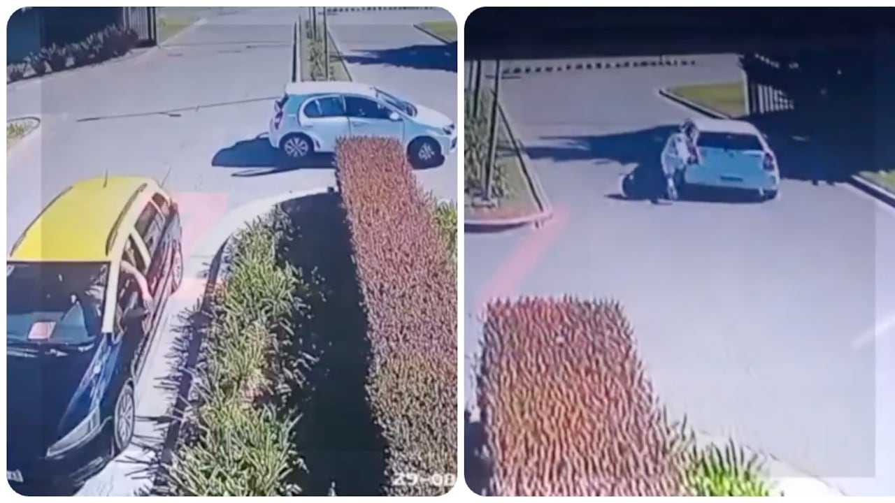 El conductor fue detenido por la policía