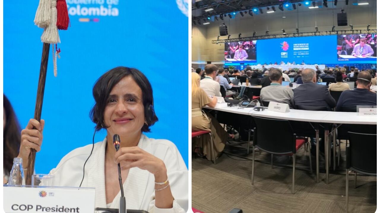 La ministra de Ambiente, Susana Muhamad, se pronunció durante el último día de la COP16.