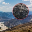 El detalle que permitió identificar un tesoro paleontológico tras 50 años.