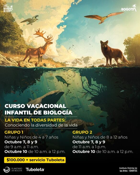 Cursos en el Planetario de Bogotá