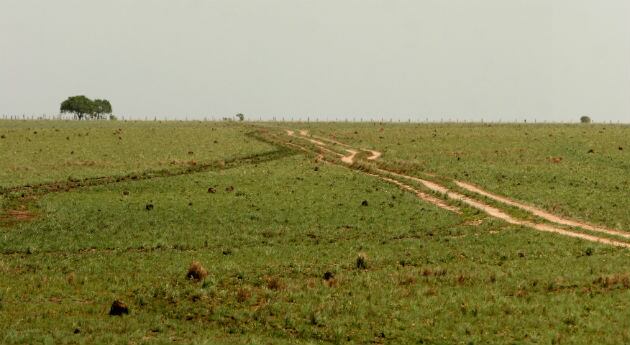 Al parecer las empresas adquirieron tierras provenientes de baldíos.