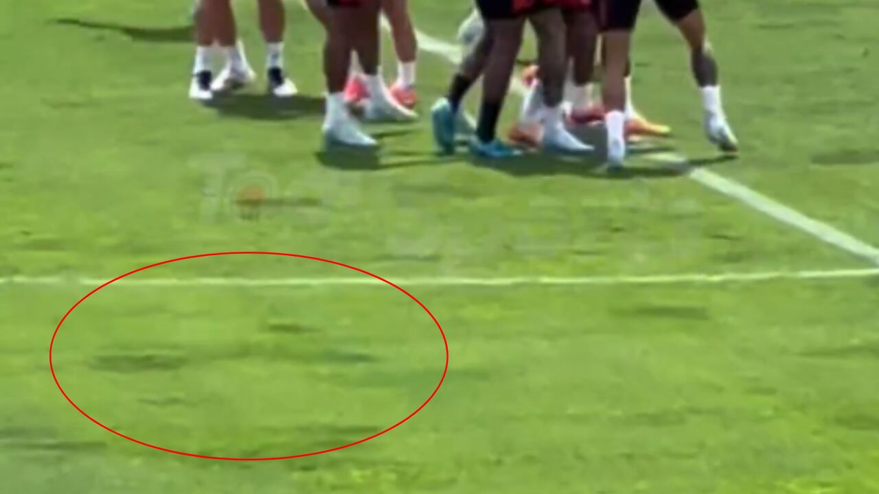 Grama del Metropolitano antes del Colombia vs. Argentina