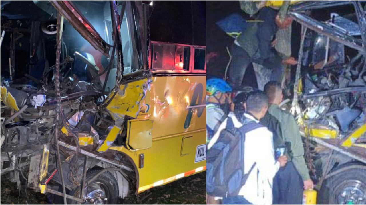 Así quedó el bus intermunicipal tras chocar contra un árbol.