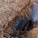 Esta es la infame cueva en donde las disidencias de las Farc ocultan a secuestrados en el Meta.