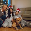 Consjeos para disfrutar con las mascotas en Navidad.