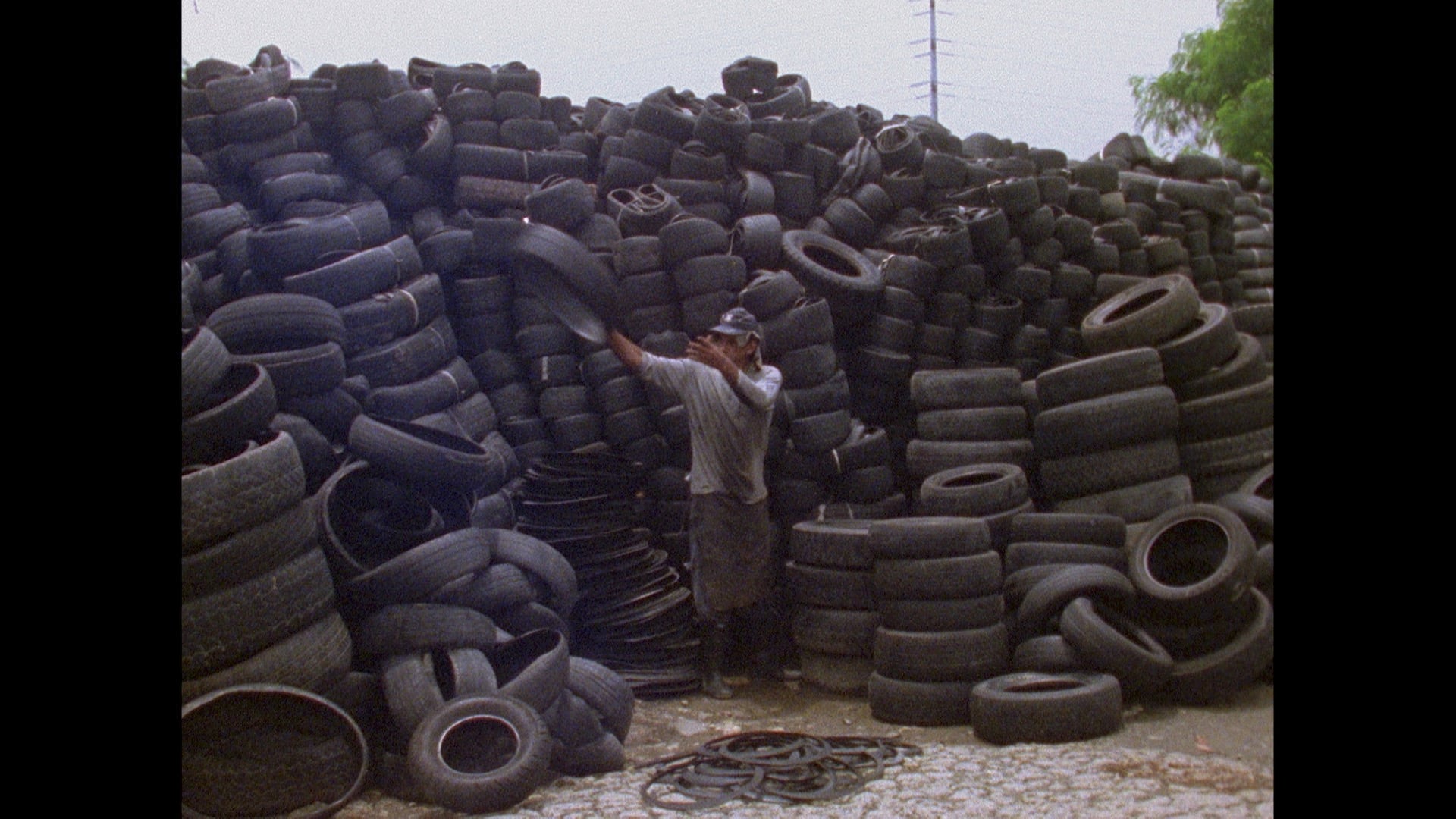Como crece  la sombra - Camilo Restrepo