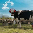 Alquería tiene la certificación como una Empresa B, que es un reconocimiento internacional para las compañías con los más altos estándares de sostenibilidad en el planeta.