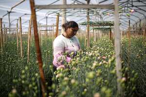 En Colombia el día de la madre se celebrará el próximo domingo 14 de mayo