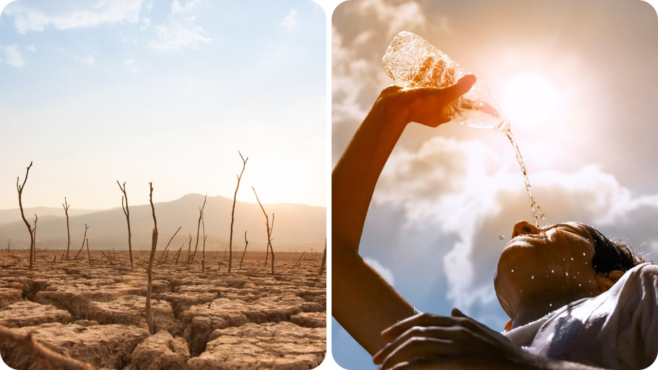 Los investigadores identificaron las regiones que enfrentarían el mayor impacto del calor extremo.