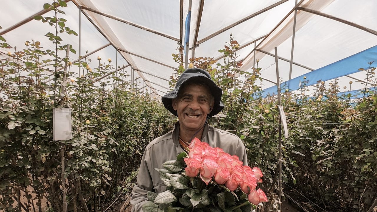 Más de mil víctimas del conflicto lograron conseguir un empleo formal durante la pandemia gracias a la Estrategia Integral de Inclusión Laboral.