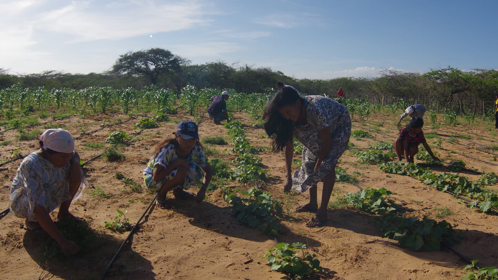 Las mujeres que viven en zonas rurales tienen más dificultades para acceder a servicios de salud e higiene menstrual.