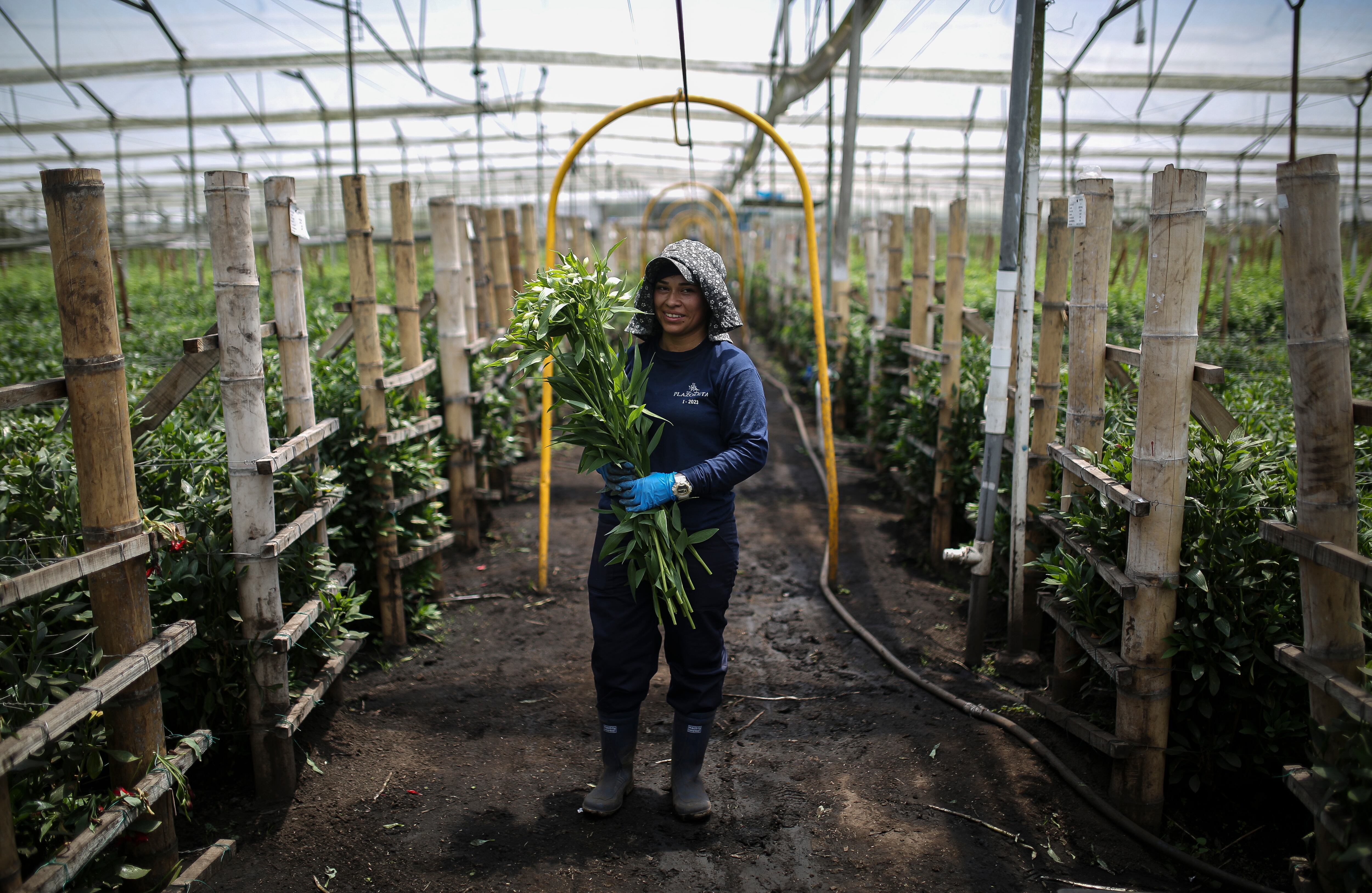 Flores, el regalo tradicional en el día de la madre