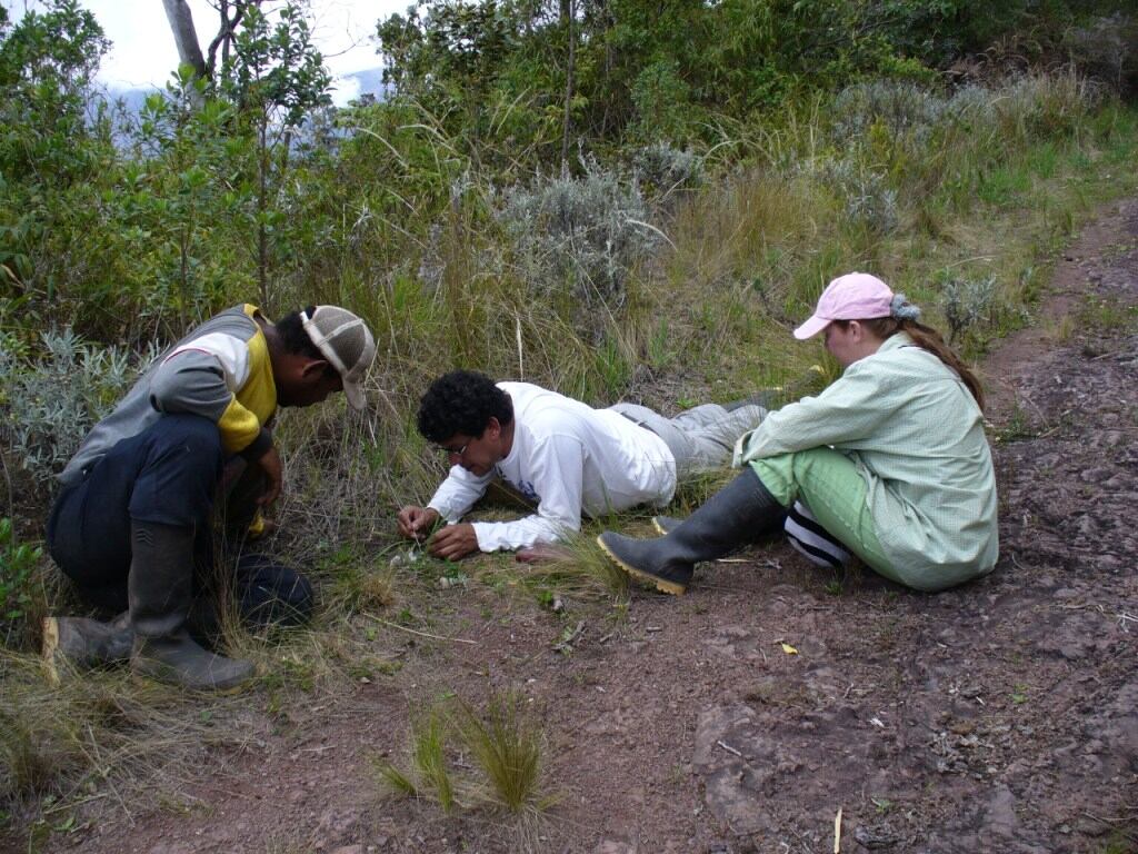 Los biólogos Adriana Reyes y Daniel Rodríguez se han dedicado a estudiar al oso andino.
