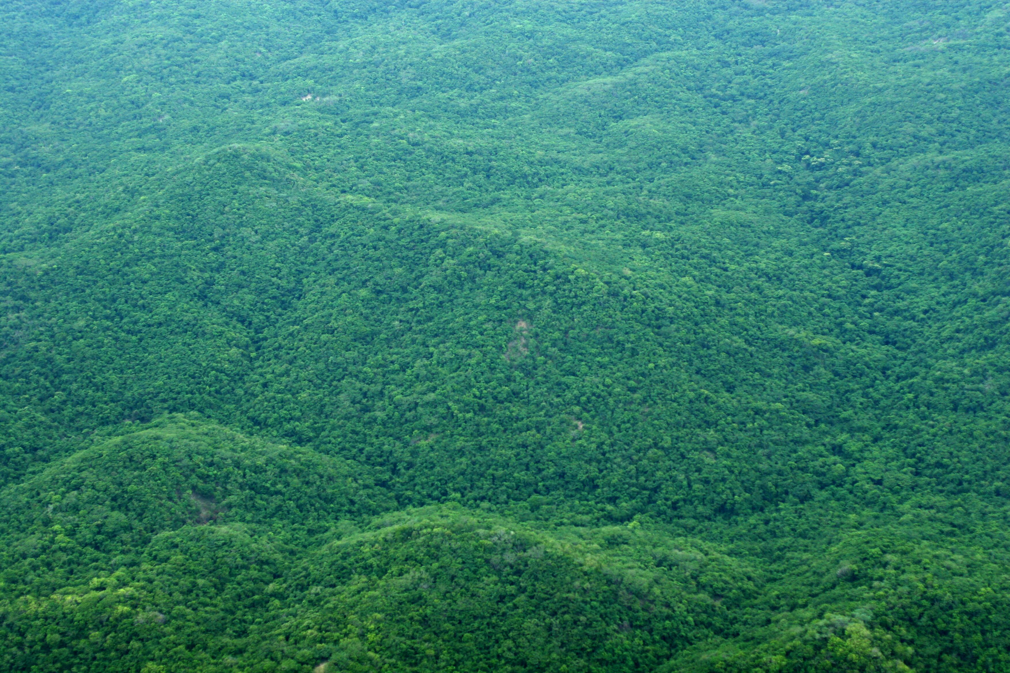 AGOSTO 13 DE 2005
FOTO LEON DARIO PELAEZ- SEMANA