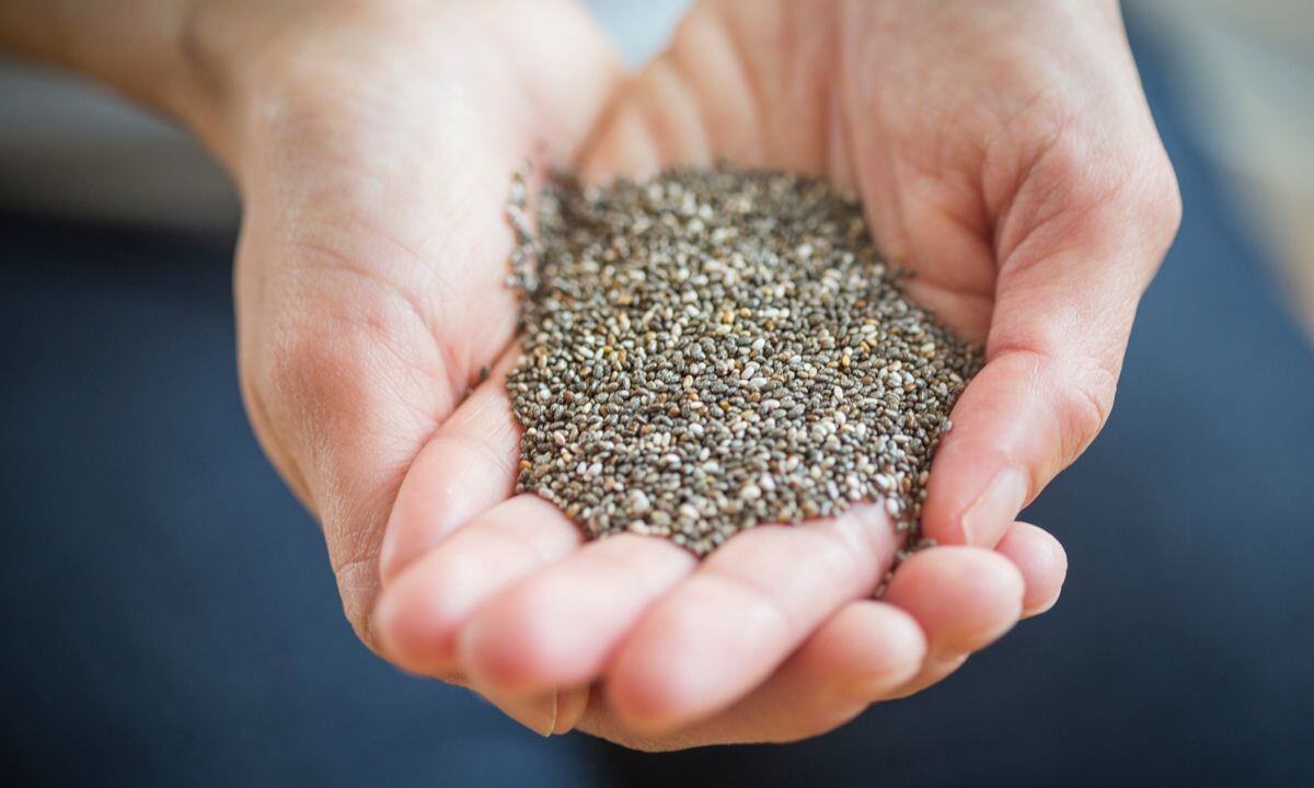 Semillas que bajan los triglicéridos.