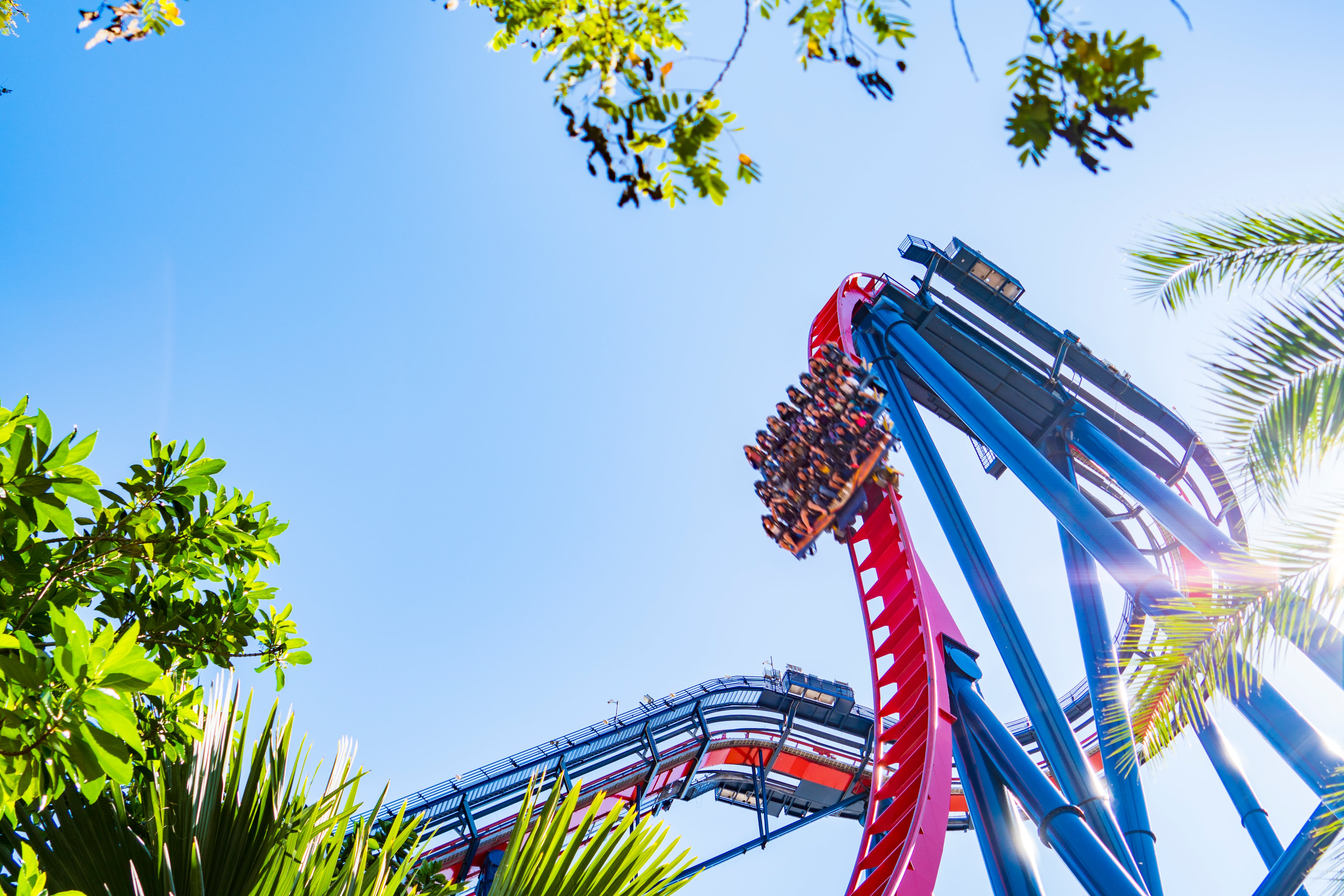 Sheikra, montaña rusa de Busch Gardens Tampa Bay (Florida, Estados Unidos).