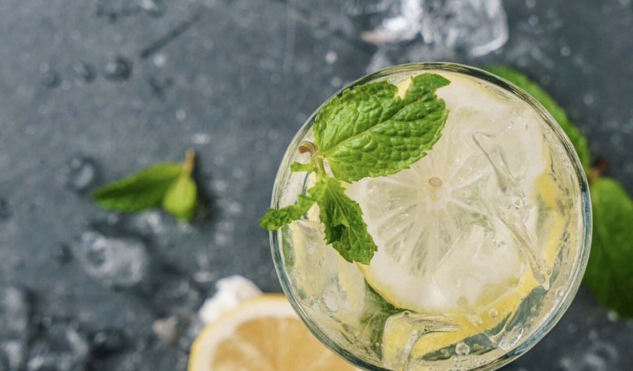 Tanto la menta como el limón traen grandes beneficios al organismo