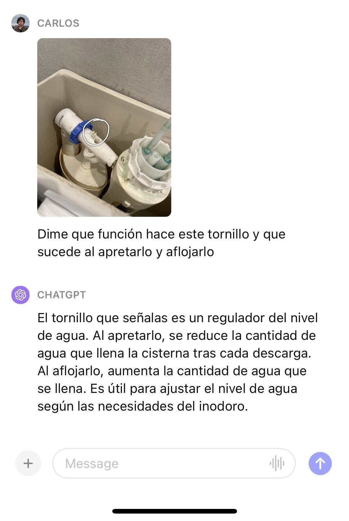 La viralización de un caso en redes sociales ha demostrado que ChatGPT puede ofrecer soluciones prácticas para tareas tan inesperadas como la reparación de un inodoro, sorprendiendo a miles de usuarios.