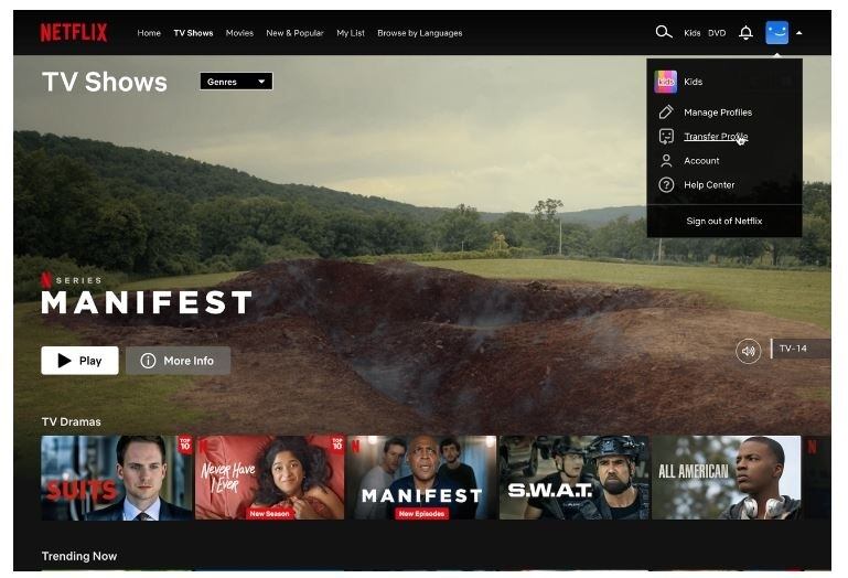 Netflix habilita la función de transferencia de perfil para llevar perfiles a cuentas ya existentes