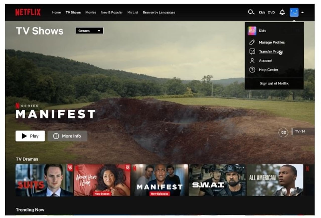 Netflix habilita la función de transferencia de perfil para llevar perfiles a cuentas ya existentes