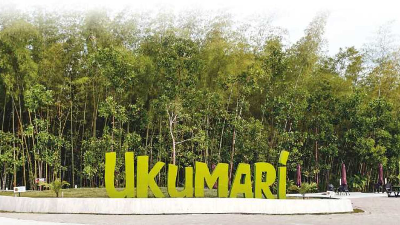 El bioparque busca llevar a un nivel superior el tradicional zoológico Matecaña, uno de los sitios preferidos de los pereiranos.