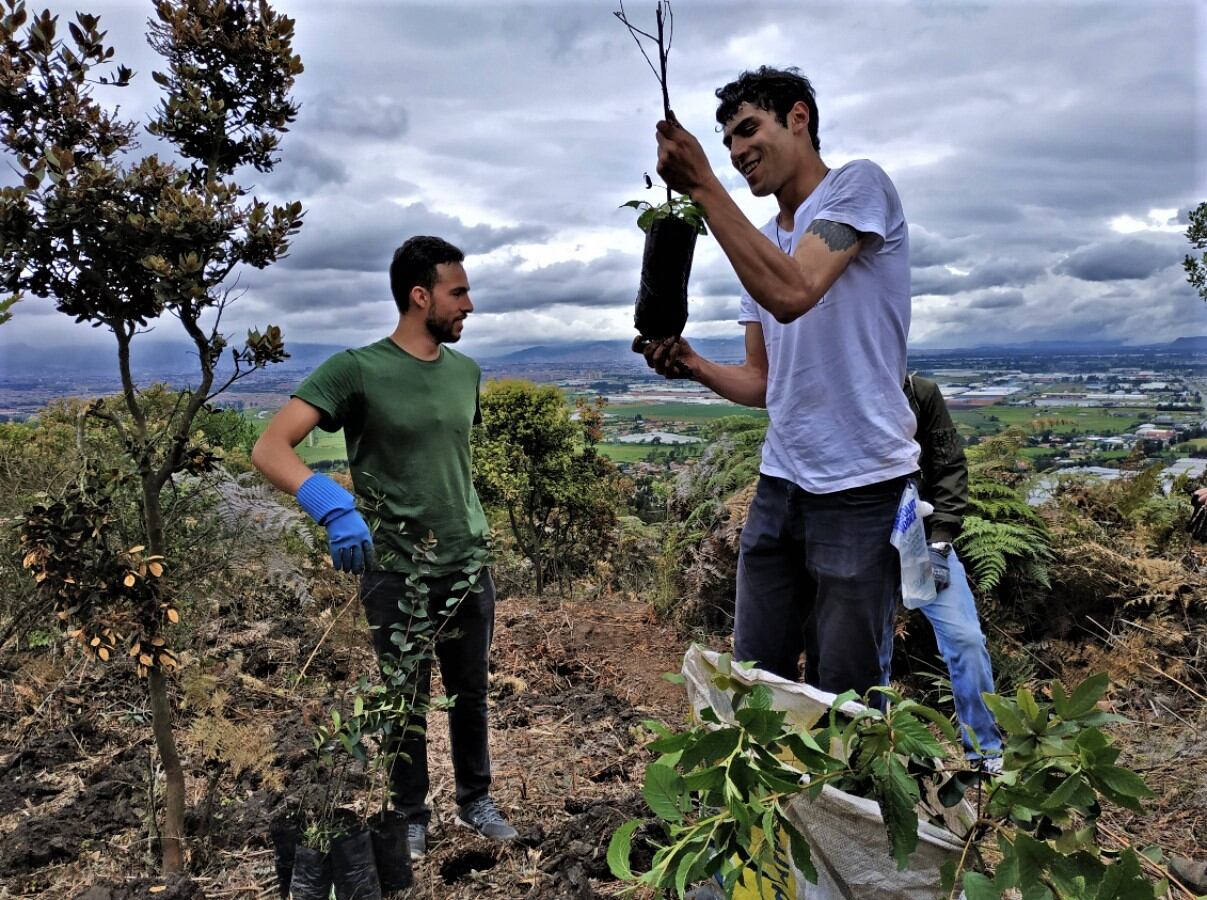 El Movimiento Ambientalista Colombiano seleccionó al cerro Majuy en Cota para realizar la segunda siembra masiva de su campaña 'Todos plantamos'