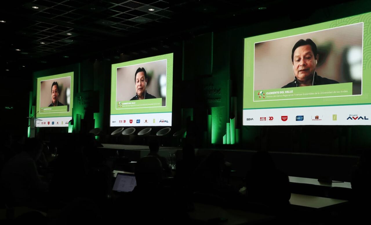 Clemente del Valle, director del Centro Regional de Finanzas Sostenibles de la Universidad de los Andes.