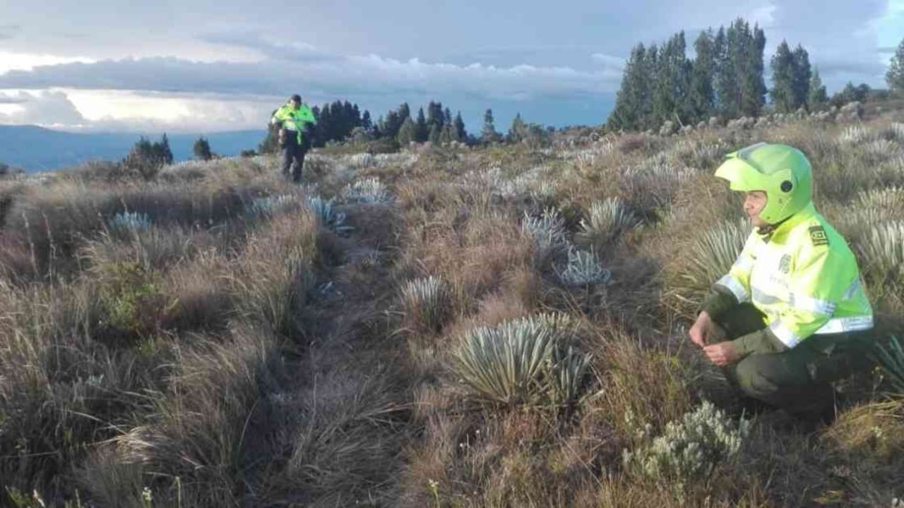 En zigzag pasó el tractor que terminó destruyendo 331 frailejones en un páramo de Saboyá. Foto: CAR Cundinamarca.