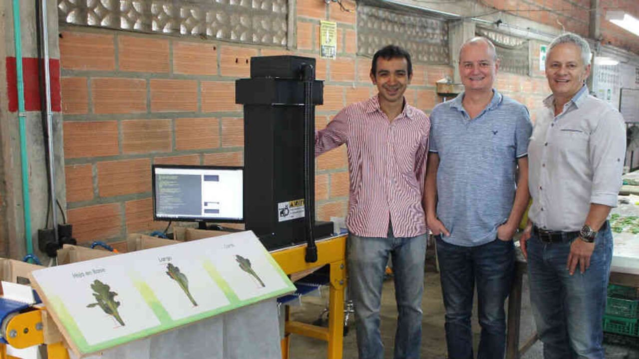 la maquina selecciona los esquejes a través de un sistema de visión, se capturan y procesan las imágenes de las hojas.