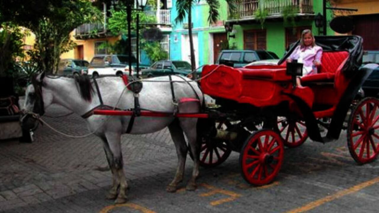 En la capital de bolívar está servida la polémica entre una la vieja costumbre de pasear en coche y el maltrato animal que provocan los responsables.