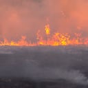 El avance de las quemas y el calentamiento global pone en riesgo el ecosistema.