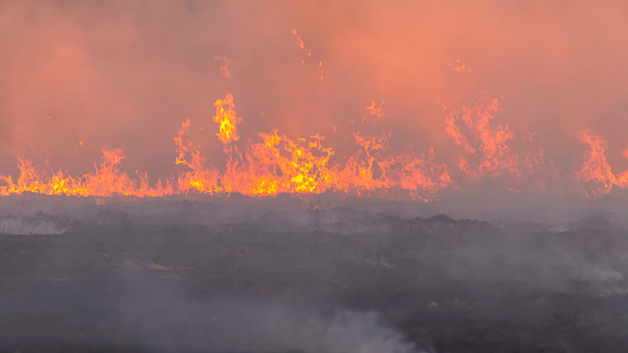 El humo de los incendios forestales y las temperaturas elevadas pueden afectar especialmente a personas con enfermedades respiratorias y otros grupos vulnerables, por lo que Minsalud recomienda extremar las medidas de prevención.