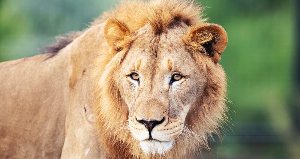 El mundo necesitala COP16 _7