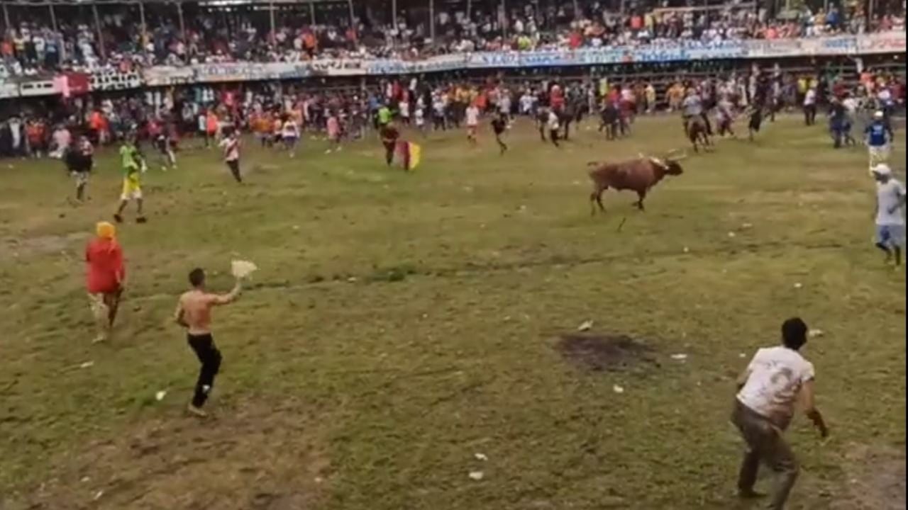 Estos actos son de gran peligro para la población. (imagen de referencia)