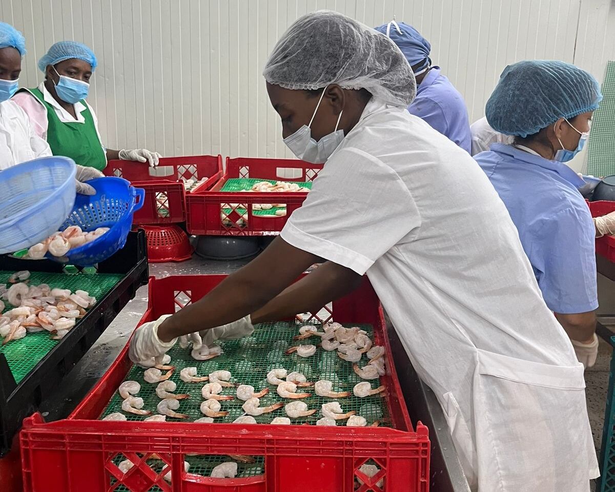 Acuicultoras de Tumaco