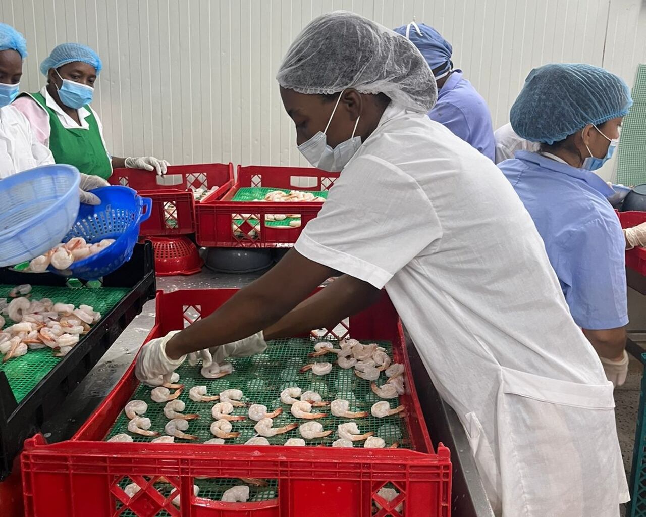 Acuicultoras de Tumaco