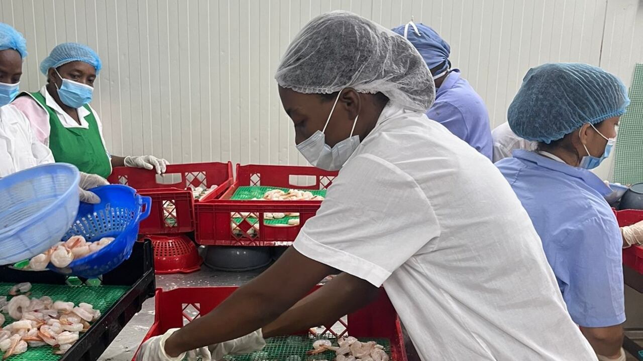 Acuicultoras de Tumaco