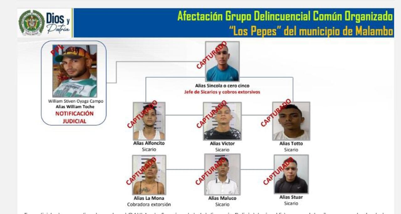 Desarticulan a la subestructura Los Pepes del Sur