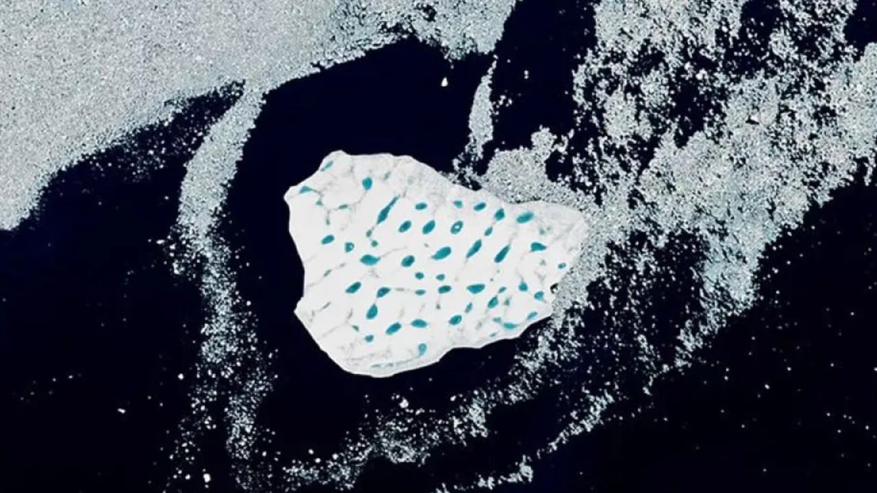 En esta imagen, captada el 12 de junio de 2026 por el sensor OLI (Operational Land Imager) del satélite Landsat 9 , se observa un iceberg a la deriva en el estrecho de Dinamarca.