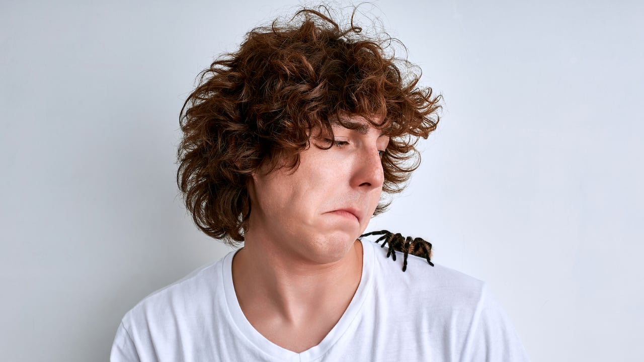 Es común que las personas sueñen con arañas.