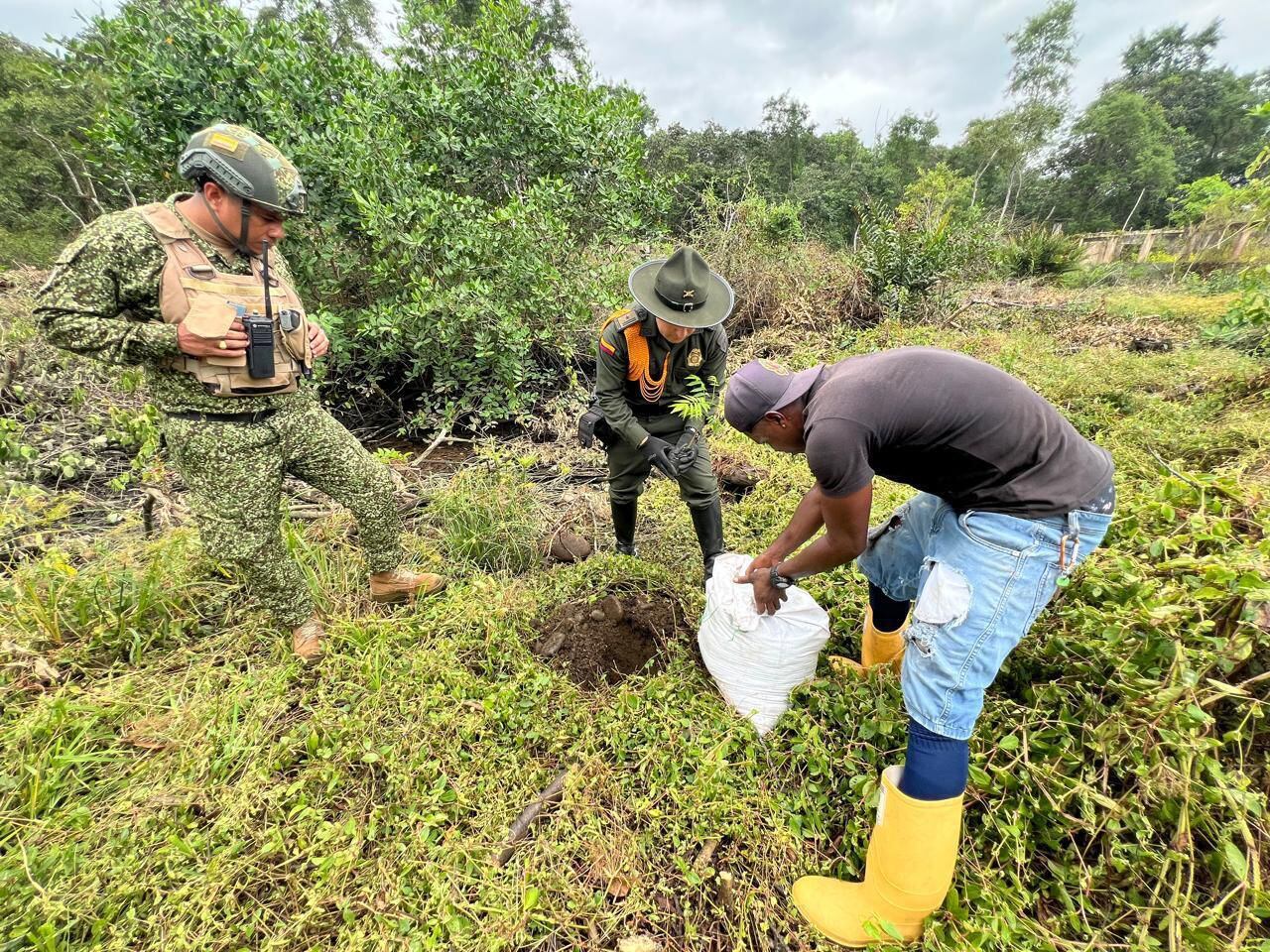 Esta clase de actividades también es la respuesta de las comunidades y autoridades frente a los daños que causan actividades como los cultivos de uso ilícito.