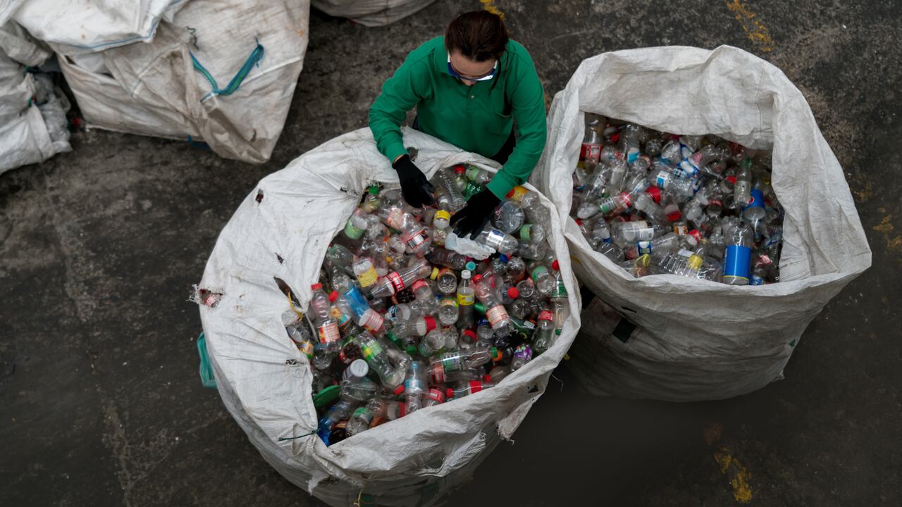 Woman working in a recycling center sorting some bottles and looking very happy - environmental concepts
