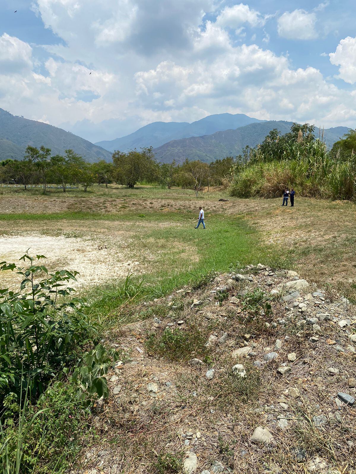 Incendio en la zona rural alta de Palmira