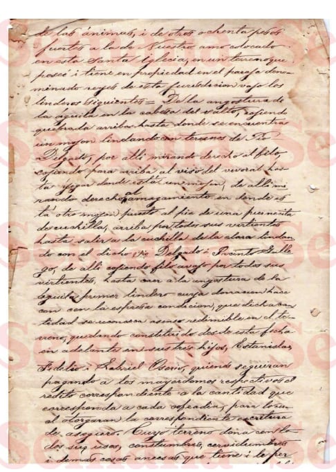 Escritura en la que Nepomusena Osorio dejó los terrenos a las Ánimas del Purgatorio y el Amo Supremo colocado en la iglesia de Concepción (oriente de Antioquia).
