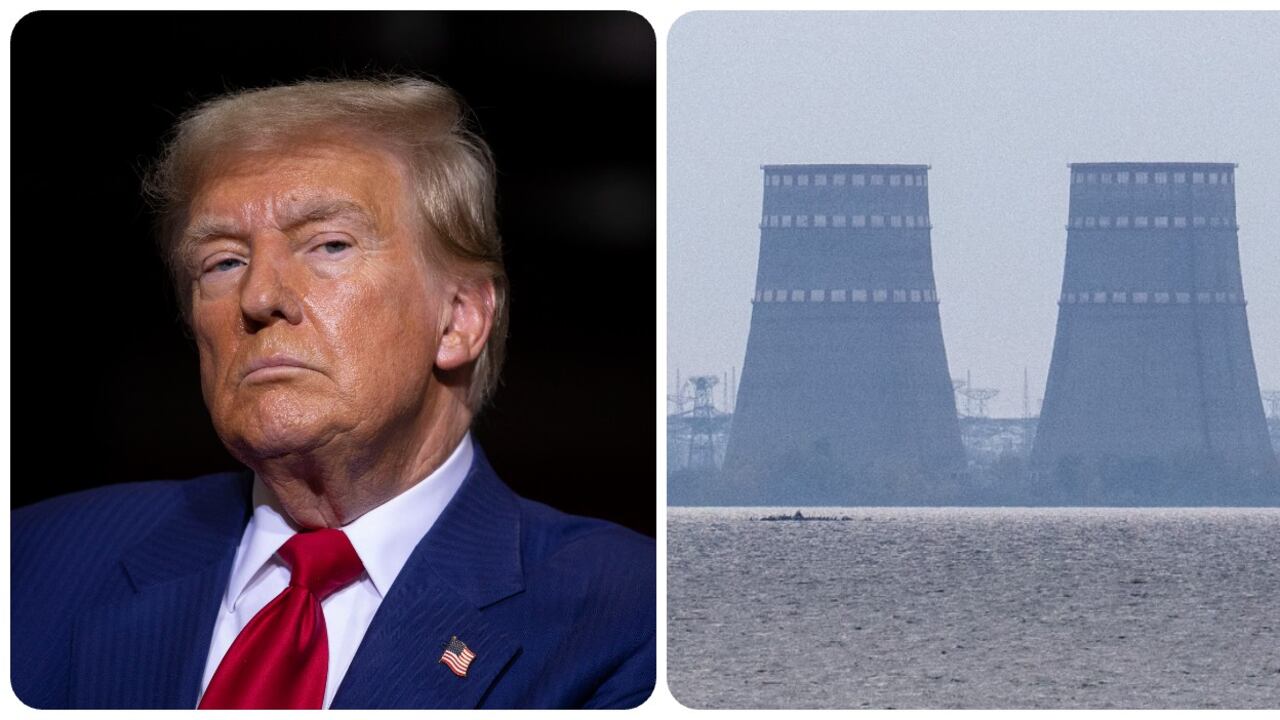 Trump hizo la oferta durante una llamada con el presidente ucraniano, Volodímir Zelenski.