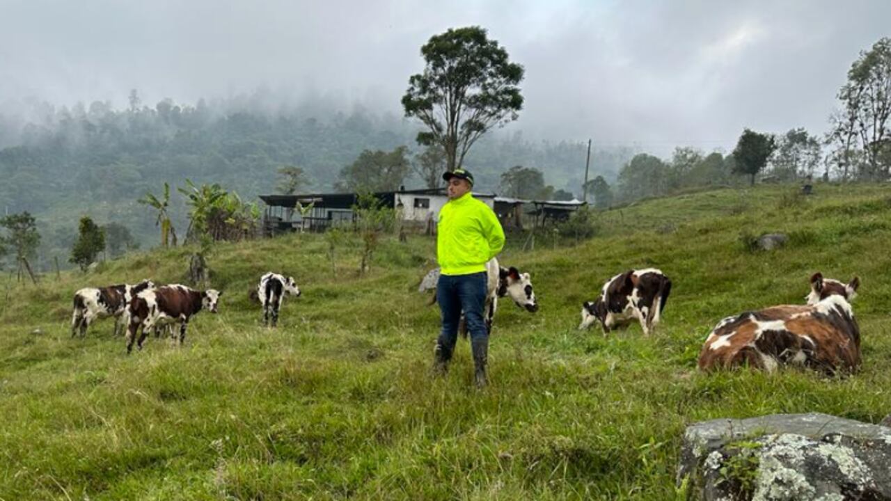 Los administradores de algunas haciendas ganaderas en el norte del departamento les hacían creer a los dueños que los animales habían muerto por enfermedad