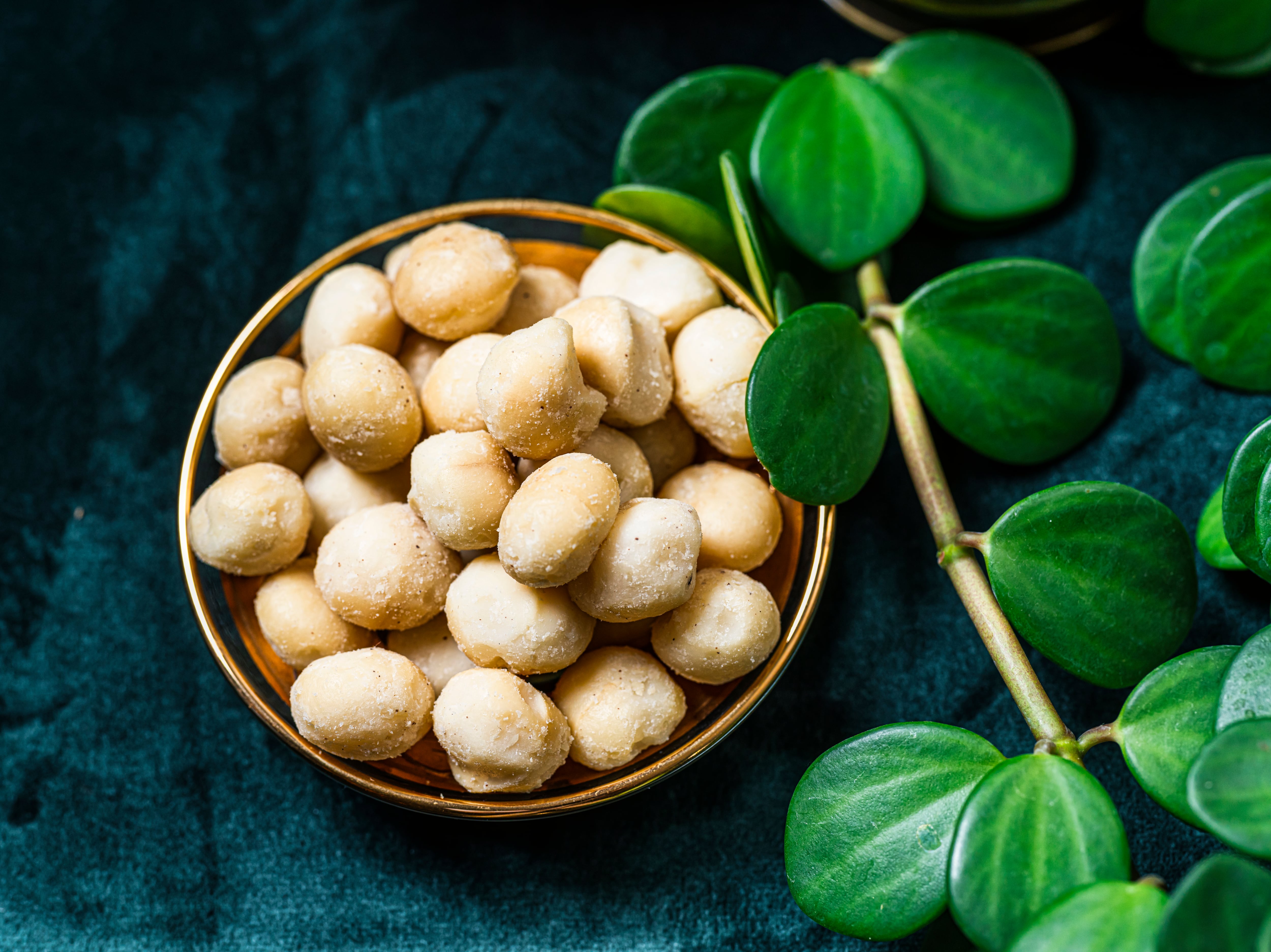 La nuez de macadamia tiene un aporte de proteína del 8%