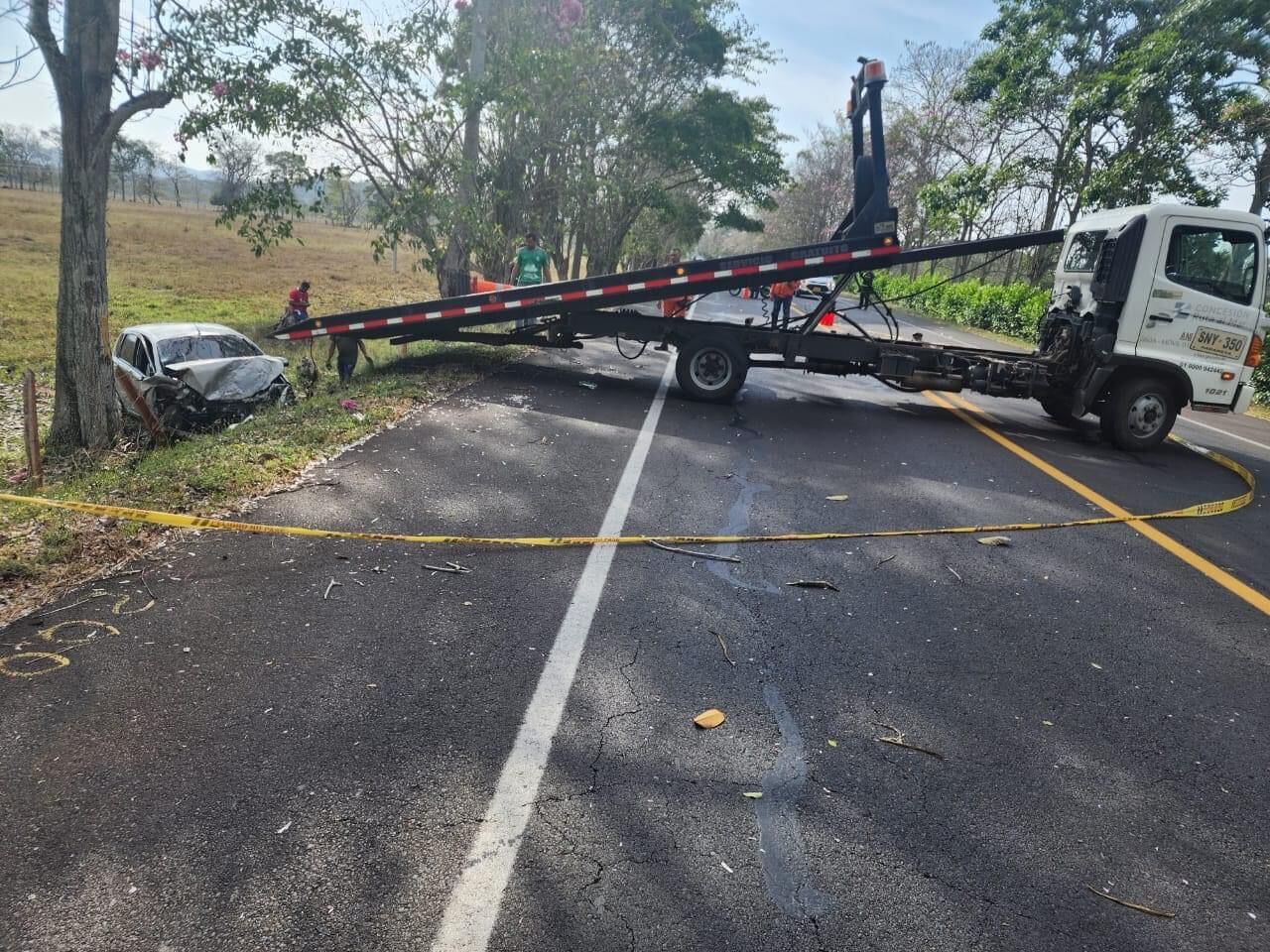 El carro chocó contra un árbol.
