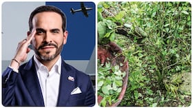 Abelardo De La Espriella y las plantaciones de coca.